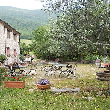 Il Giardino Degli Ulivi Villa Castelraimondo Luaran gambar