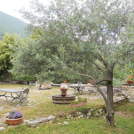 Il Giardino Degli Ulivi Villa Castelraimondo Luaran gambar
