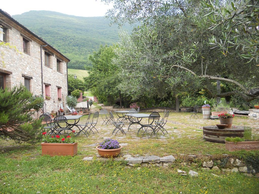 Il Giardino Degli Ulivi Villa Castelraimondo Luaran gambar